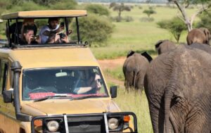 Game Drive at Maasai Mara